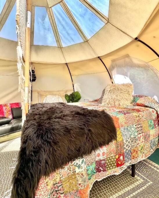 The Pisces-A Stargazing, Luxury Glamping Tent Rogersville Extérieur photo