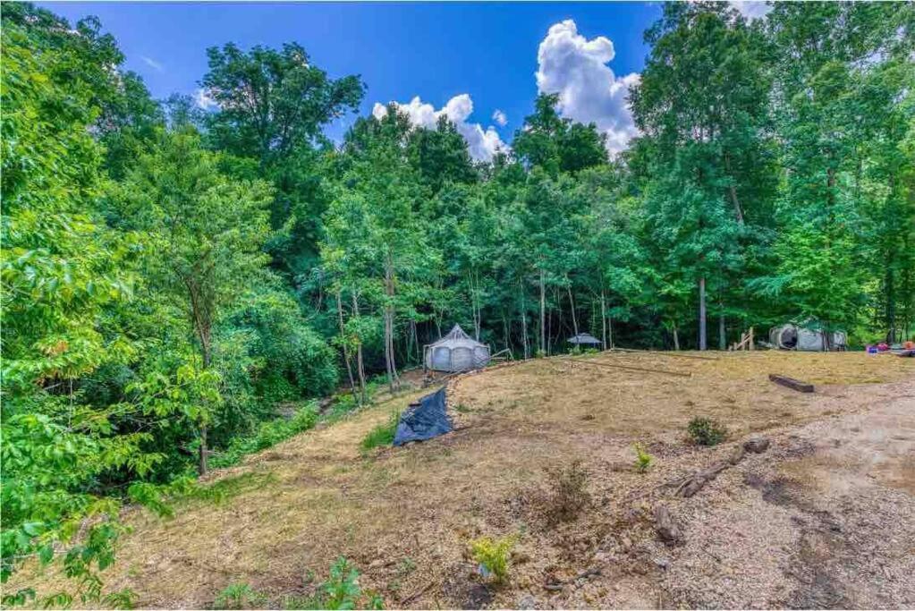 The Pisces-A Stargazing, Luxury Glamping Tent Rogersville Extérieur photo