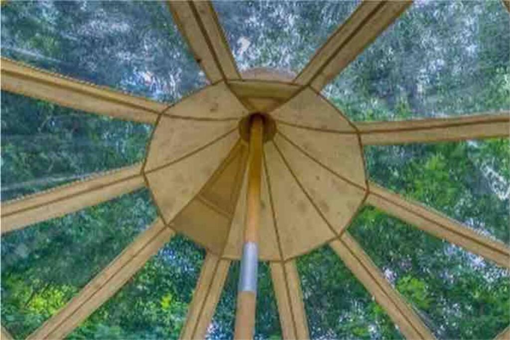 The Pisces-A Stargazing, Luxury Glamping Tent Rogersville Extérieur photo