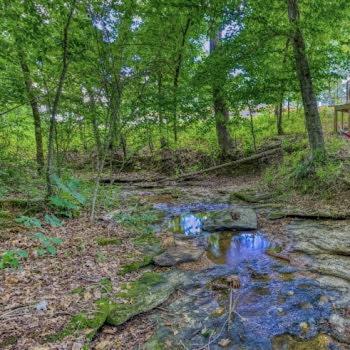 The Pisces-A Stargazing, Luxury Glamping Tent Rogersville Extérieur photo
